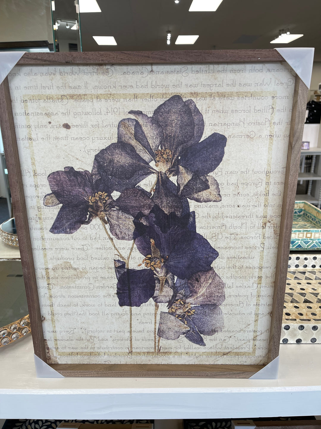 Kendrick Home Botanical Print